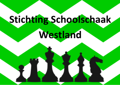 Workshop Schaken voor beginners