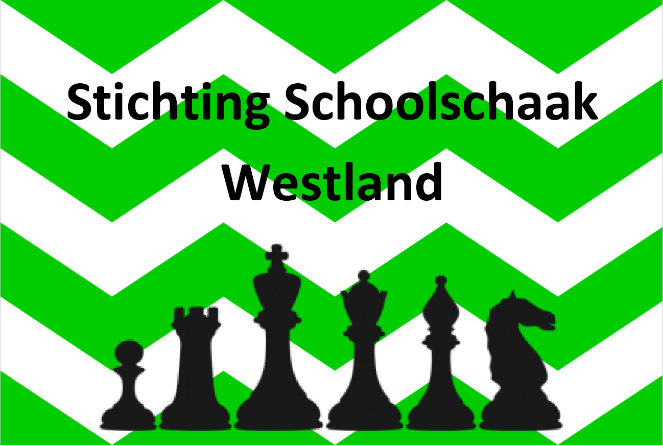 logo-SSW Workshop Schaken voor beginners