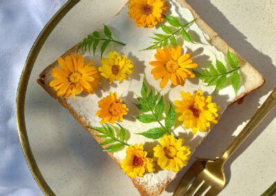 BiebLab – Voorjaars kook workshop