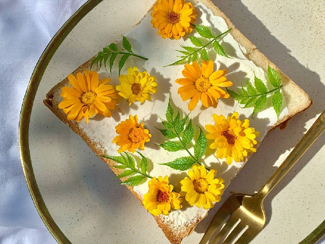 BiebLab – Voorjaars kook workshop