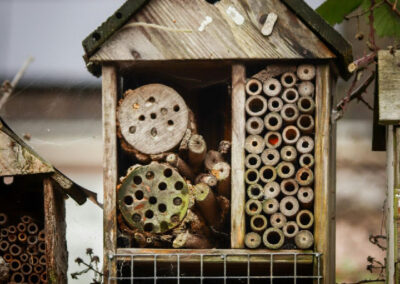 BiebLab – Insectenhotel maken