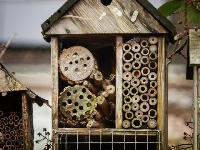 BiebLab – Insectenhotel maken