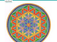 Geometrisch tekenen The Flower of life