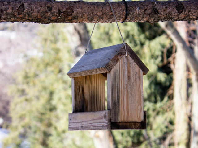 6a18071b6761a BiebLab – Vogelhuisjes timmeren 8+