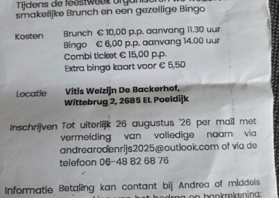 Brunch / Bingo