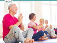 Hatha Yoga zomercursus