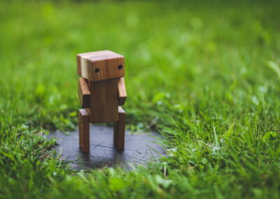 Bieblab ‘s-Gravenzande – Houten robot ontwerpen