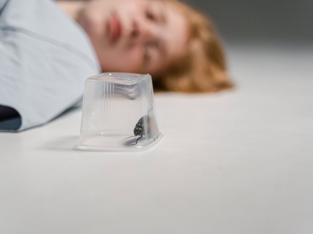 6a59d134511c8 BiebLab – Insecten stofzuiger maken