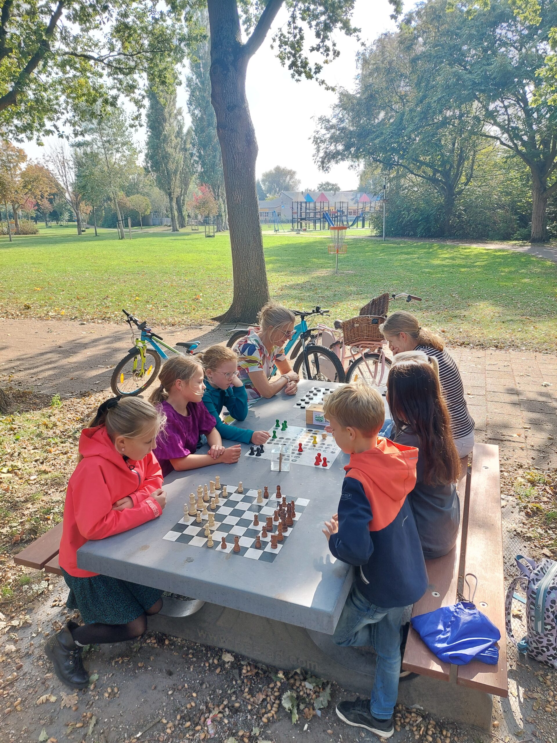 Schaken spelen of leren bij openbare speltafel Dreespark