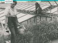 De geschiedenis van het Westland – deel 2